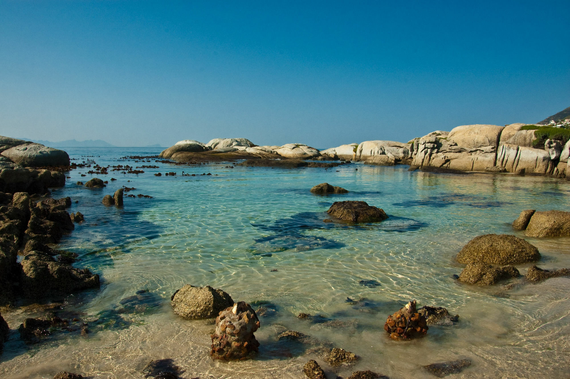 Sail Away Studios Simonʼs Town Dış mekan fotoğraf
